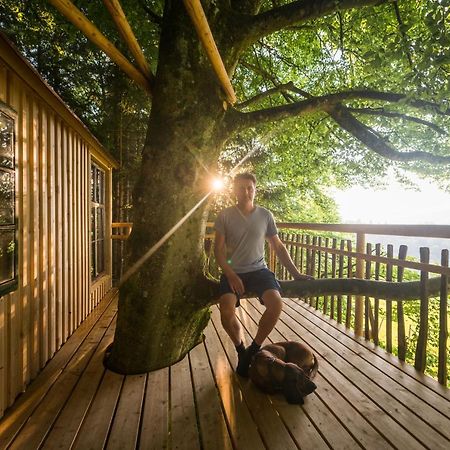 Tierpark Buchenberg Bed & Breakfast ไวด์โฮเฟิน อัน แดร์อิบส์ ภายนอก รูปภาพ