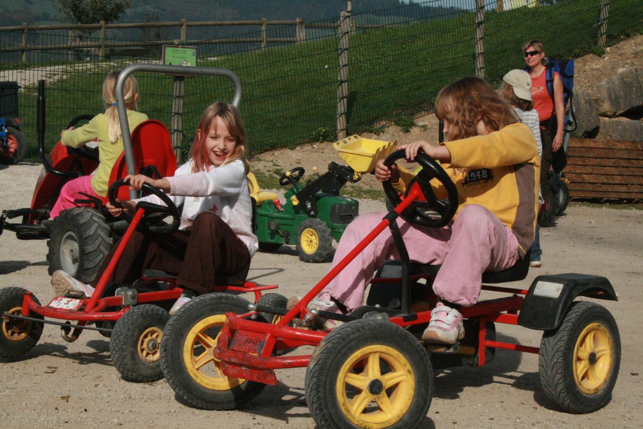 Tierpark Buchenberg Bed & Breakfast ไวด์โฮเฟิน อัน แดร์อิบส์ ภายนอก รูปภาพ